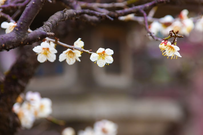 AdobeStock_1184046980