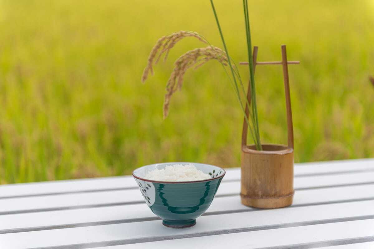 世界を惹きつける日本の魅力とは？のサムネイル