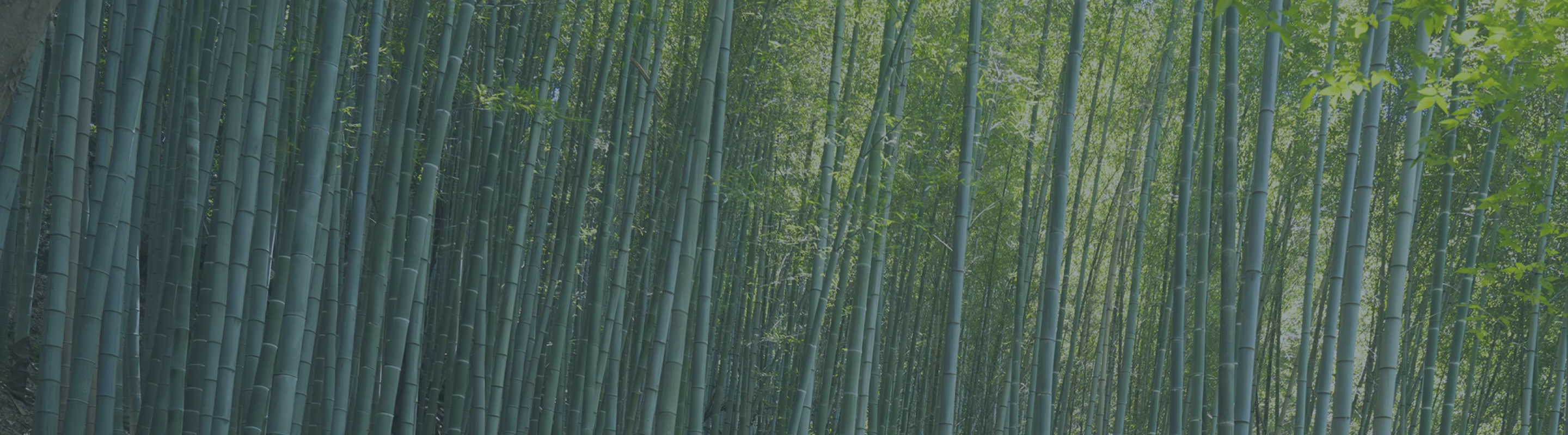 page-title_sustainability